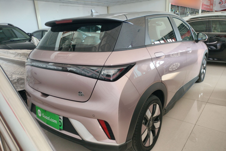 比亚迪 海豚 2021款 401km 骑士版车身外观7