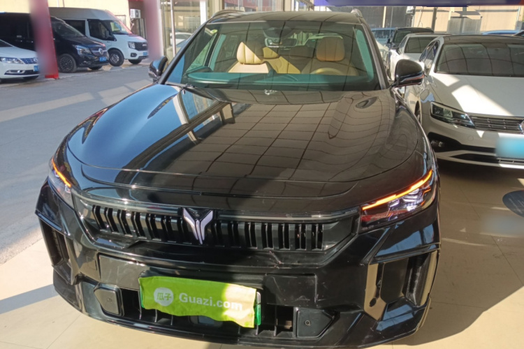 岚图汽车 岚图FREE 2023款 四驱超长续航增程版车身外观2