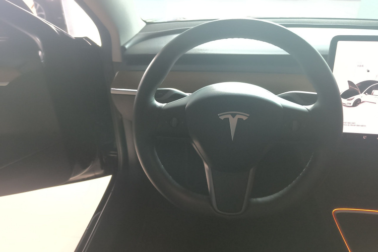 特斯拉 Model 3 2021款 改款 标准续航后驱升级版 3D1中控内饰13