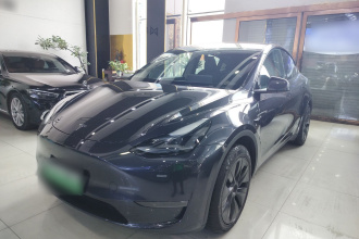 特斯拉 Model Y 2024款 长续航全轮驱动版