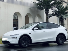 特斯拉 Model Y 2025款 改款 长续航全轮驱动版