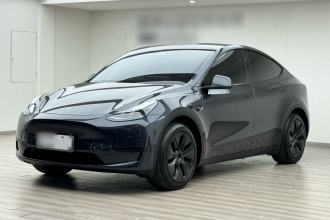 特斯拉 Model Y 2024款 后轮驱动版