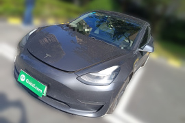 特斯拉 Model 3(进口) 2019款 长续航后驱版
