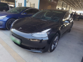 特斯拉 Model 3 2022款 后轮驱动版
