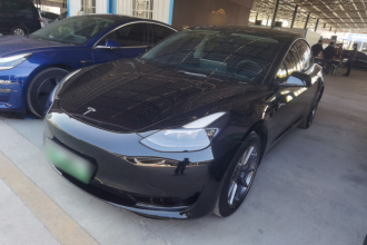 特斯拉 Model 3 2022款 后轮驱动版