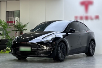 特斯拉 Model Y 2022款 Performance高性能全轮驱动版