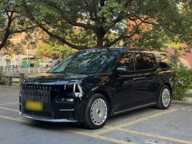 极氪009 2024款 光辉