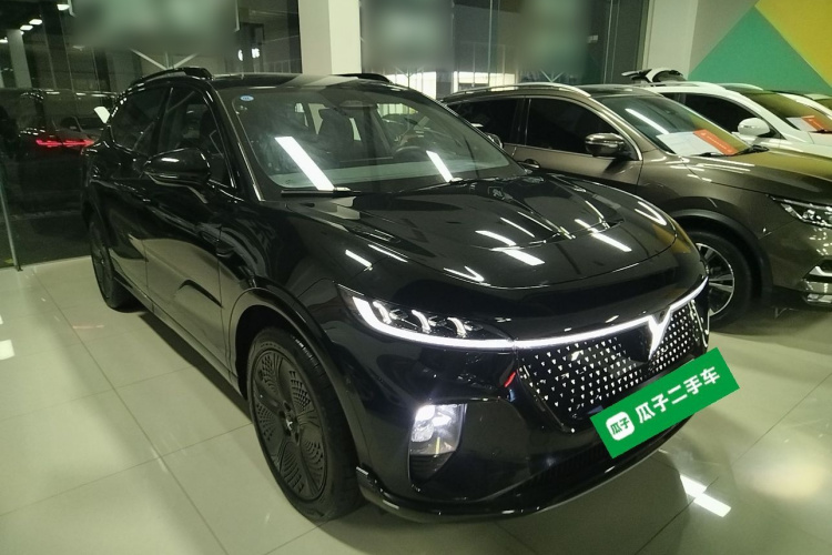 岚图汽车 岚图知音 2024款 四驱全球版车身外观6002