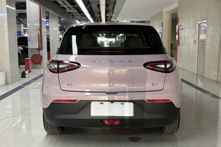 吉利银河 星愿 2025款 310km 梦想版车身外观6007