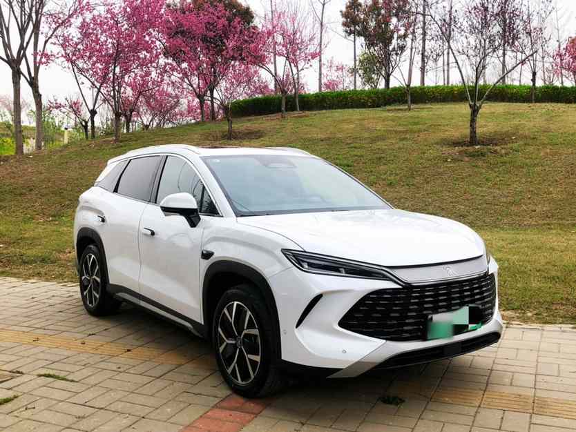 比亚迪 宋L DM-i 2025款 智驾版 160km 超越型(4)