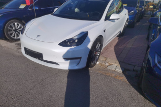 特斯拉 Model 3 2022款 Performance高性能全轮驱动版