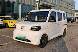 五菱汽车 五菱之光新能源 2025款 201km 标准型