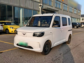 五菱汽车 五菱之光新能源 2025款 201km 标准型