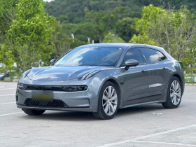 极氪001 2021款 超长续航单电机 WE版