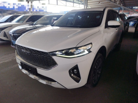 哈弗F7 2020款 2.0T 两驱i动