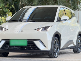 比亚迪 海鸥 2025款 405km 飞翔版