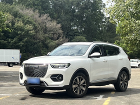 哈弗H6 2021款 1.5GDIT 自动豪华版