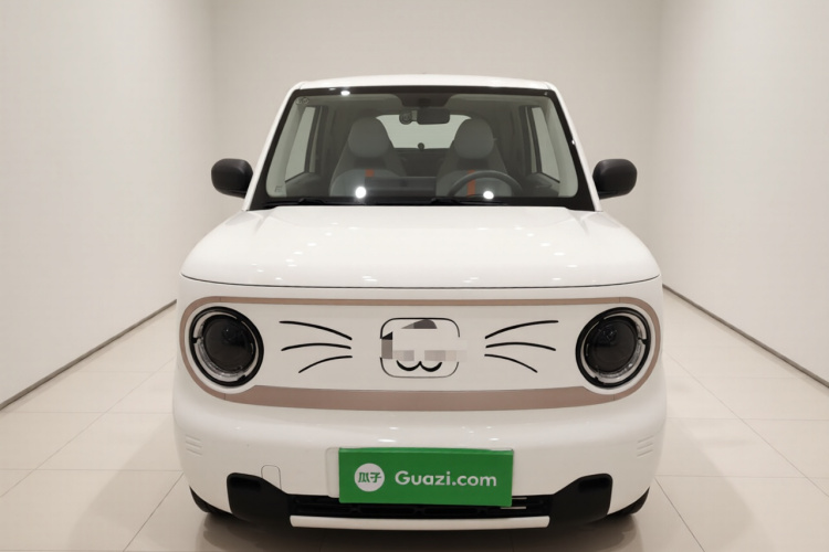 吉利银河 2023款 熊猫mini 200km 耐力熊车身外观2