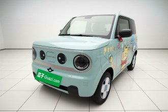 吉利银河 2023款 熊猫mini 200km 耐力熊