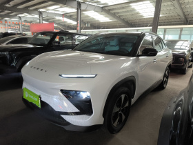 奇瑞新能源 奇瑞舒享家 2024款 512km 乐游版