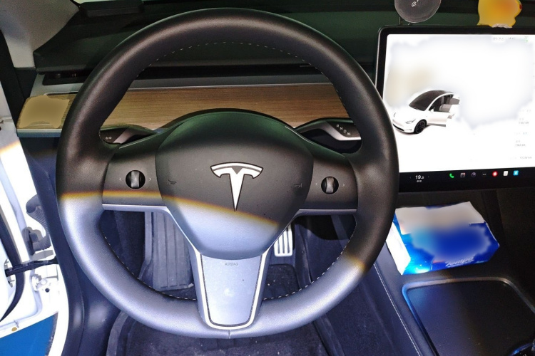 特斯拉 Model Y 2021款 Performance高性能全轮驱动版局部细节13