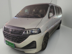 金杯海狮王 2021款 2.0L城运王系列捷运型标准顶6座1TZS