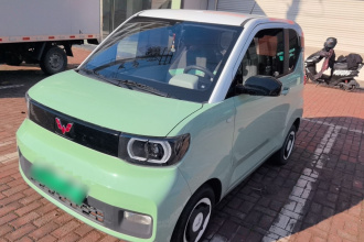 五菱汽车 宏光MINIEV 2021款 马卡龙臻享款 磷酸铁锂