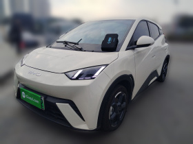 比亚迪 海鸥 2023款 自由版