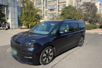 极氪009 2022款 WE版