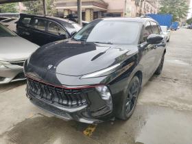 东风风行 风行T5 EVO 2021款 1.5TD DCT钻石版