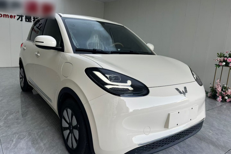 五菱汽车 五菱缤果 2025款 333km 悦享款车身外观6008