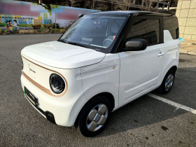 吉利银河 2024款 熊猫mini 200km 耐力熊