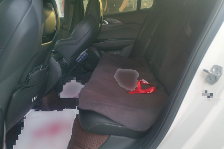 领克03 2022款 2.0TD DCT劲Pro中控内饰7004