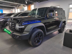 坦克300 2021款 越野版 2.0T 征服者