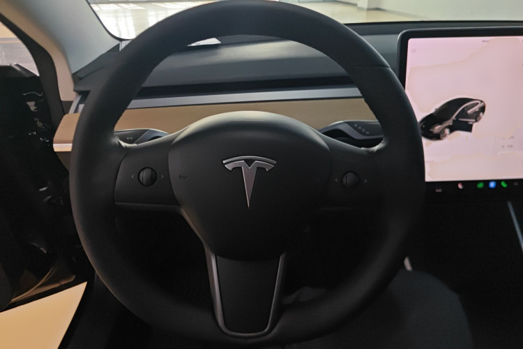 特斯拉 Model 3 2019款 标准续航后驱升级版局部细节13