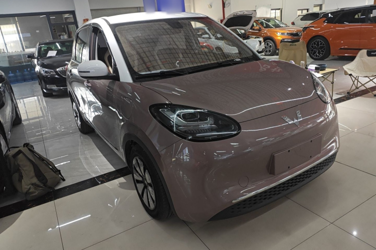 五菱汽车 五菱缤果 2023款 333km 灵犀互联款车身外观6002