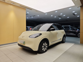 五菱汽车 五菱缤果 2025款 333km 悦享款