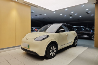 五菱汽车 五菱缤果 2025款 333km 悦享款