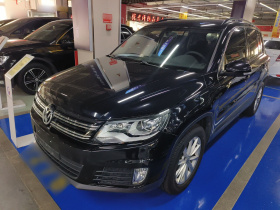 大众 途观 2017款 300TSI 自动两驱丝绸之路风尚版