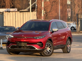 腾势X 2020款 PHEV经典版