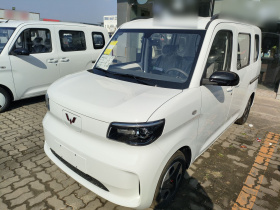 五菱汽车 五菱之光新能源 2025款 305km 进取型