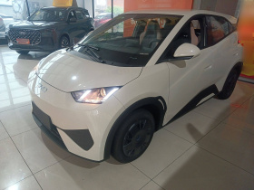 比亚迪 海鸥 2025款 智驾版 305km 活力版