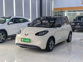 五菱汽车 五菱缤果 2025款 333km 灵犀尊享款