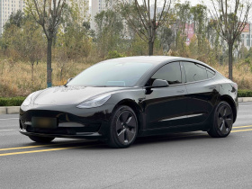 特斯拉 Model 3 2022款 后轮驱动版
