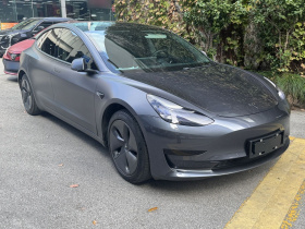 特斯拉 Model 3 2020款 改款 标准续航后驱升级版