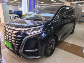 腾势D9 2024款 DM-i 1050 尊享型