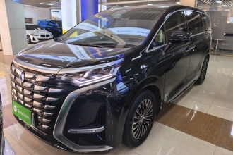 腾势D9 2024款 DM-i 1050 尊享型