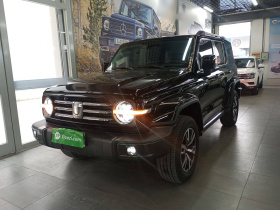 坦克300 2023款 城市版 2.0T 很有型