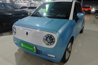 欧拉黑猫 2021款 301km 基础型