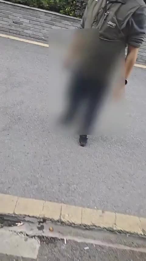 腾势D9 2022款 DM-i 1040 尊贵型讲解1